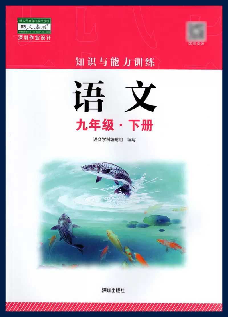 2025春季 语文知识与能力训练9九年级下册 深圳中学初三下册语文人教