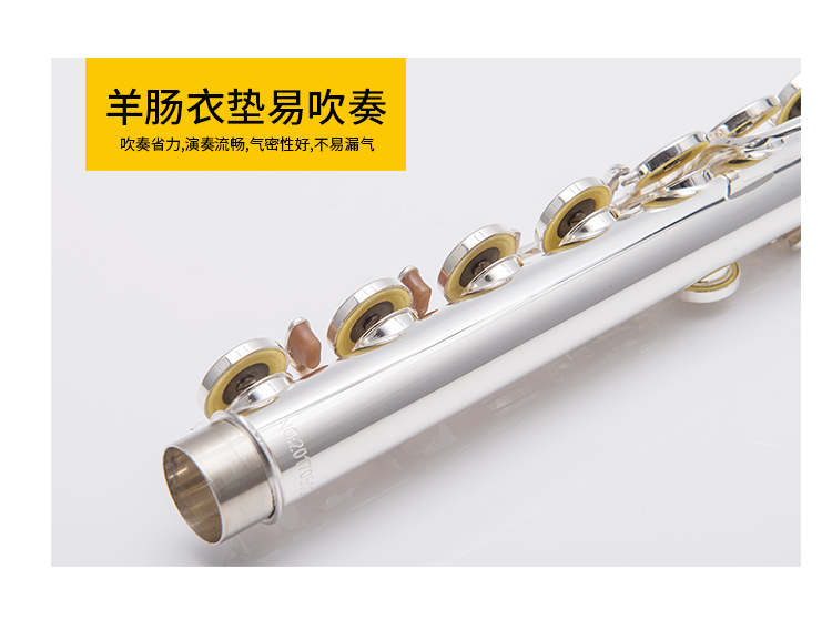 Fanchao C フルート - ホワイトコッパー、銀メッキ、クローズド