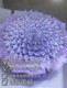 Semi-finished money flower bouquet material package for Chinese Valentine's Day, birthday gift for husband, parents, boyfriend and girlfriend