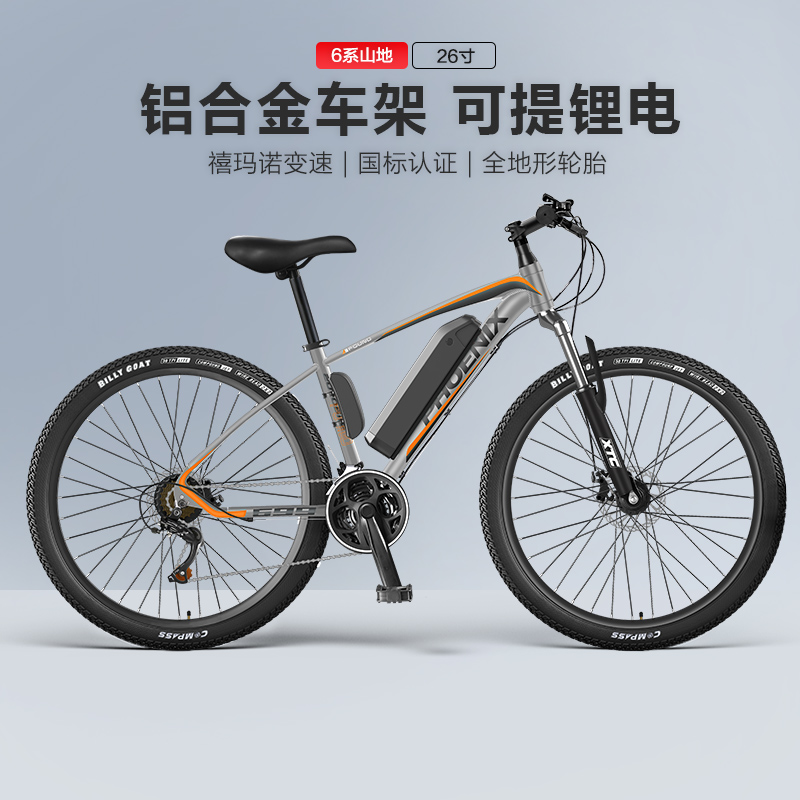 PHOENIX 電動自転車 Phoenix電動自転車 - 26インチマウンテンバイク - リチウム