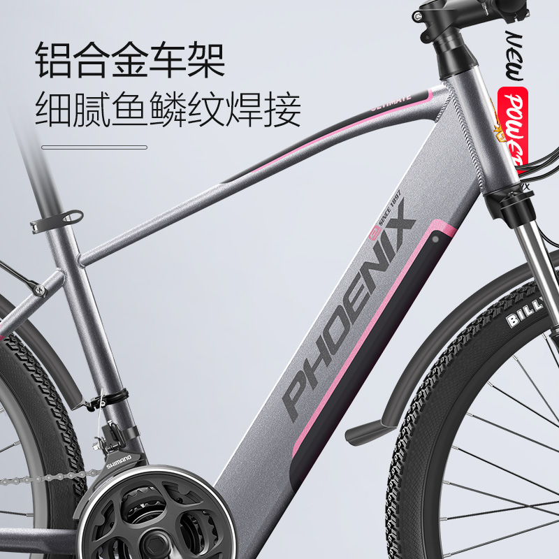Phoenix M6電動自転車 - アルミニウム合金、65km+の航続距離