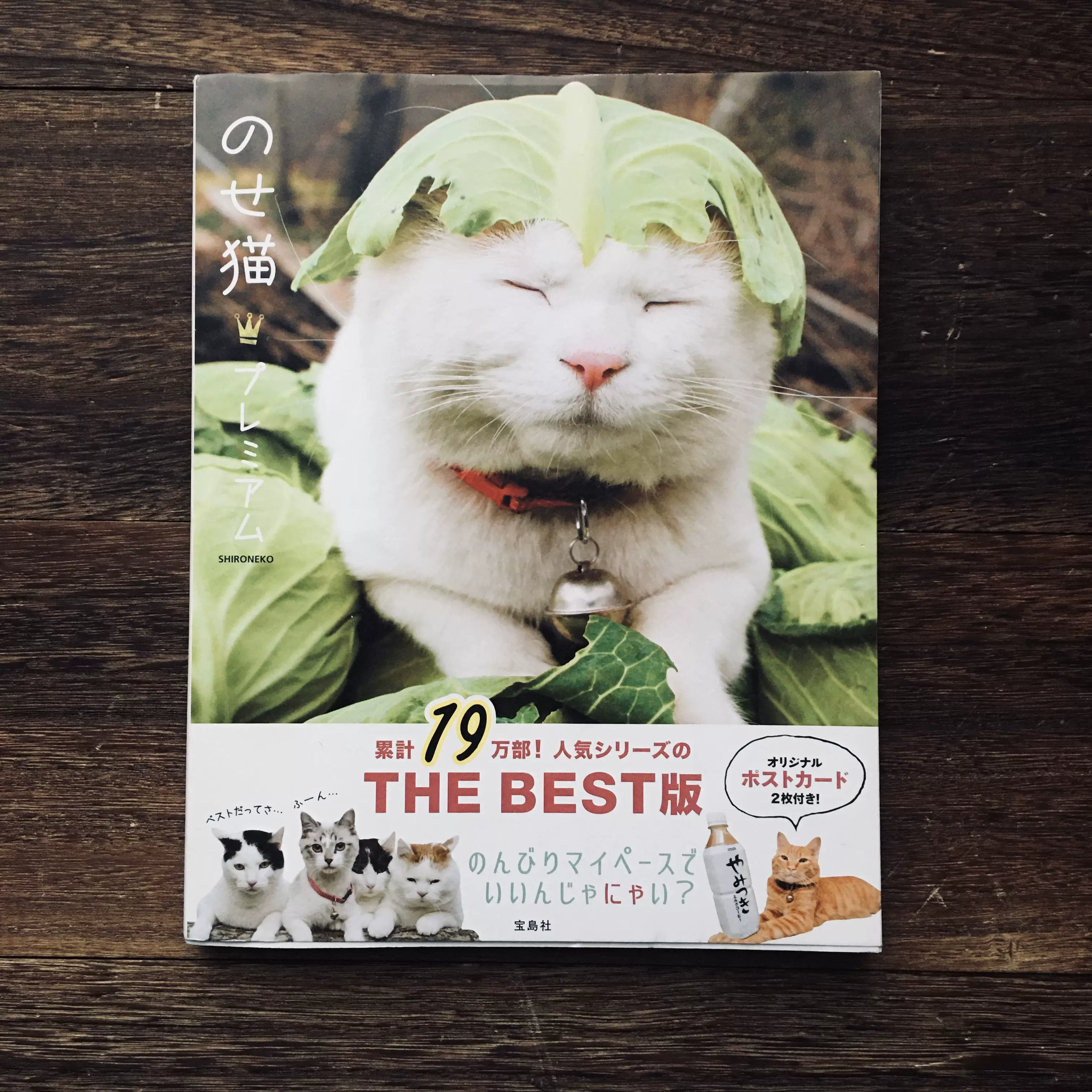 等待 篮子猫 日本猫叔shiro写真集日版全新摄影集猫梅佳代 Taobao 等待 篮子猫 日本猫叔shiro写真集日版全新摄影集猫梅佳代 Taobao