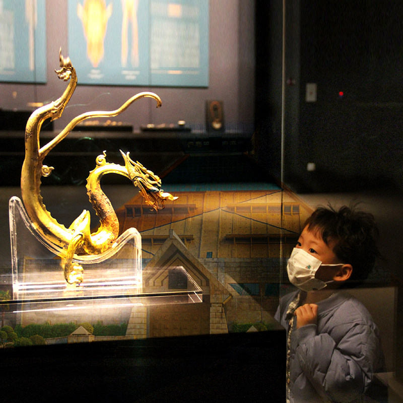 不含门票 河南博物院2小时专业导游讲解河南郑州旅游博物馆讲解