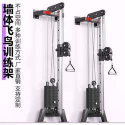Single-Sided Bird-Shaped High and Low Pull-Up Integrated Multifunctional Fitness Training Device, Small Bird-Shaped Gantry Fitness Equipment