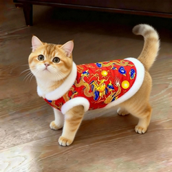 Kitten Clothes for Autumn and Winter, Festive New Year Outfit, Warm and Thickened Dragon Robe, Gold Gradient Ragdoll British Pet Dog Cotton Jacket