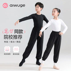 Children's Dance Clothing, Pure Cotton Long-Sleeved Tops, Boys' Chinese Dance Split Practice Clothes, Girls' Latin Dance Exam Training Clothes