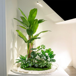 Artificial Banana Tree Green Plant Landscaping Courtyard Combination Atmosphere Decoration Clothing Store Window Bionic Accessories Landscape