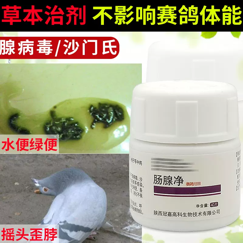 博冠鸽药搏冠鸽子药腺病毒水便绿便博冠肠腺净40片信鸽賽鸽药用品