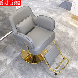 Hair Salon Barber Chair, Stainless Steel Hair Salon Chair, Barber Chair, Liftable and Tilted Hair Cutting Beauty Chair