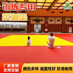 Judo Mat Professional Competition Training Martial Arts Sparring Mat Fighting Jiu-Jitsu Gym Taekwondo Wrestling Mat
