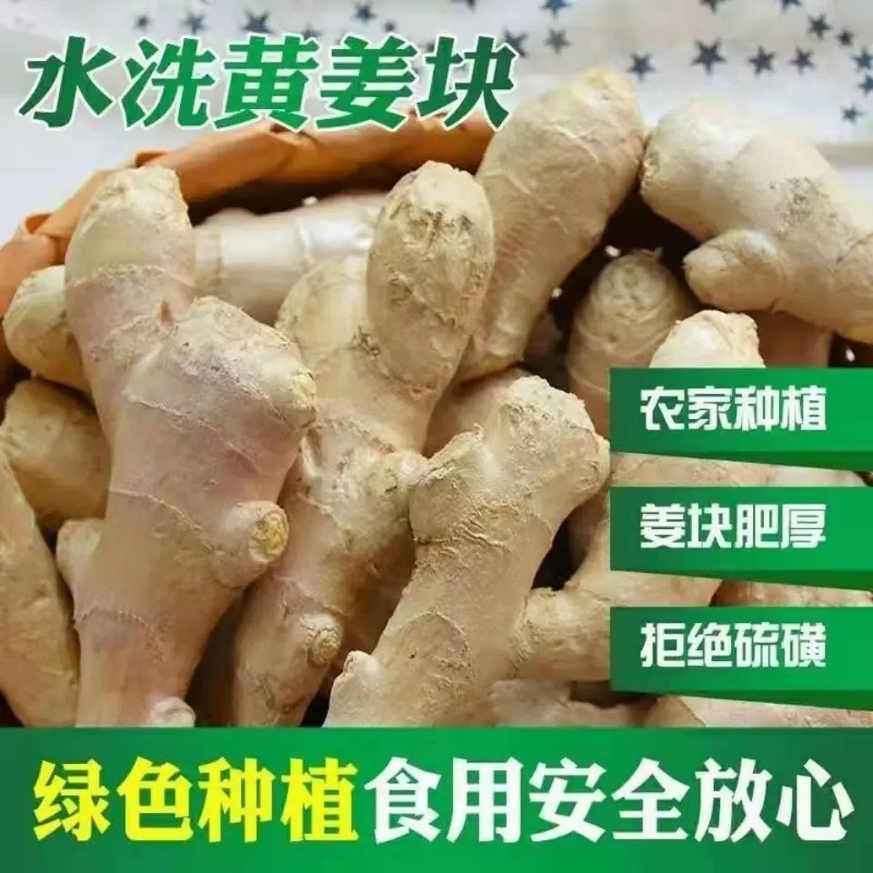 山东特产大姜生姜月子姜老姜非姜种大黄姜风干