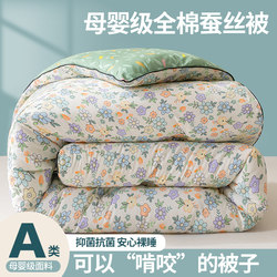 Authentic Silk Quilt 100% Mulberry Silk Quilt Winter Quilt Thickened Warm All-Cotton Quilt Spring, Autumn, Winter 5kg Quilt Core