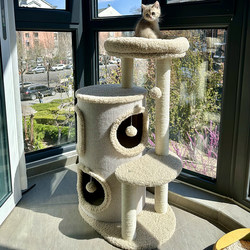 Cat House and Climbing Frame Combo for Small Apartments, Space-Saving Cat Stand, Winter Warming Toy, Multi-Cat Double-Layer Cat House