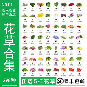 
Fresh plate decoration flowers and plants hotel western food cake baking cold dishes sushi decoration embellished with pansy fragrant wood
