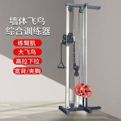 Wall-Mounted Bird Pull-Down Machine for Home and Commercial Use, Comprehensive Machine for Abdominal Muscles, Low Pull-Down, High Pull-Down, Home Fitness Equipment