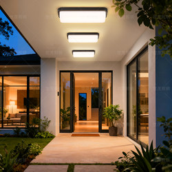 Outdoor Ceiling Light Rectangular Villa Entrance Light Foyer Light Eaves Light Super Bright Balcony Special Light