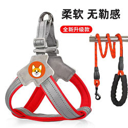 New Dog Leash Harness Vest-Style Pet Walking Leash for Small and Medium-Sized Dogs Like Shiba Inu, French Bulldog, Corgi, with Collar