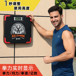 Boxing Force Measuring Device, Force Gauge, Training Equipment for Adults and Children, Children's Boxing Practice, Measuring Boxing Power, Home Use, Movable Wall Target
