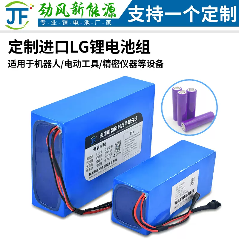 12V100ah可充电LG锂离子电池组24V15ah48伏两轮电动自行车电池36V-Taobao