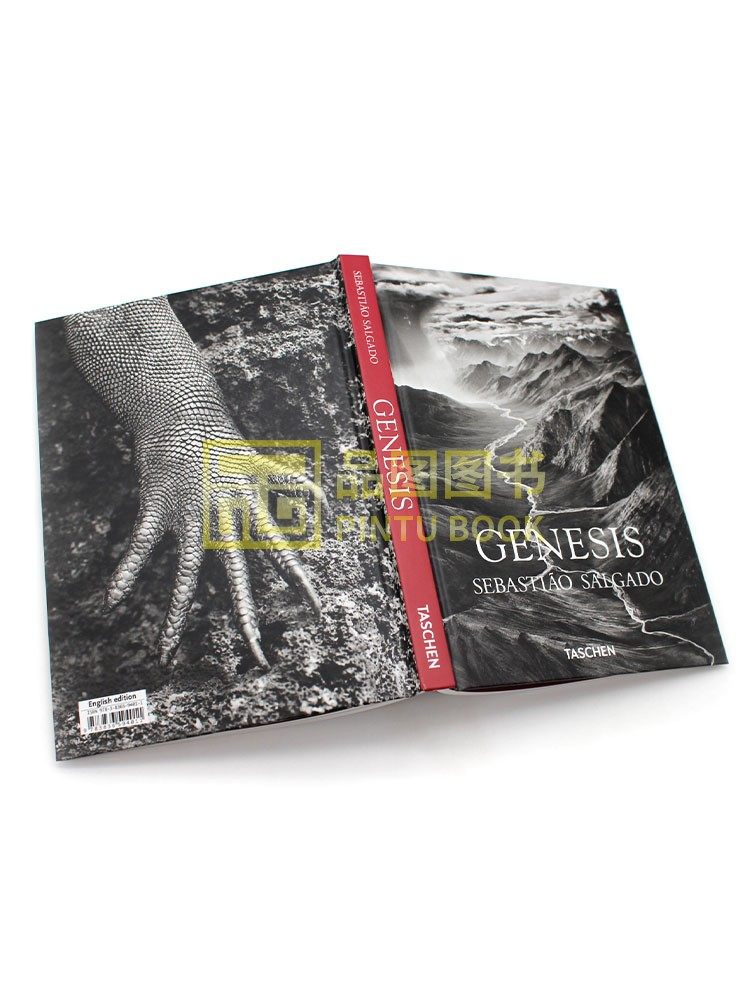 O1CN010OWU0x1YYZASWNpW9_!!