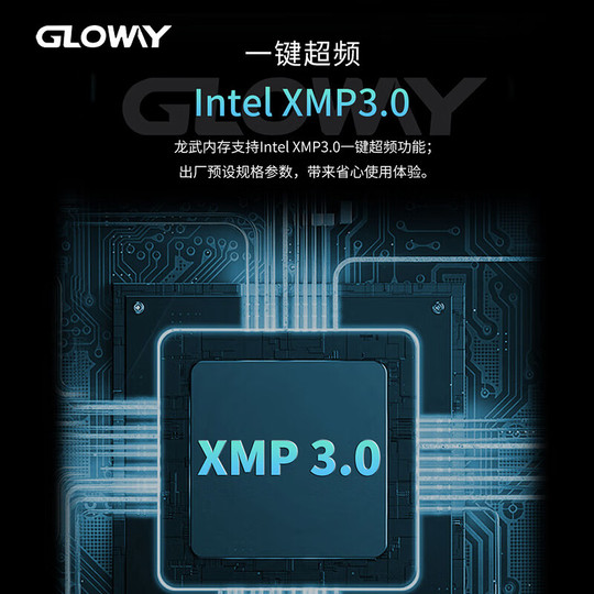 Gloway Longwu 32GB (16GBx2) DDR5 6000/6400/6800 Desktop Memory