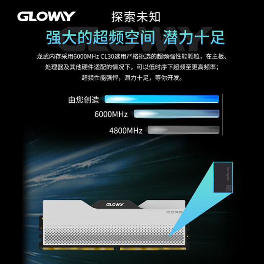 GLOWAY LONGWU DDR5 (16GB x1枚) 6000MHz Gloway Longwu 32GB (16GBx2) DDR5 6000/6400/6800 Desktop Memory