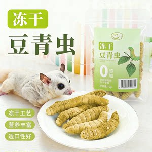 
Sugar glider snacks freeze-dried bean caterpillar big caterpillar hamster golden bear flower rat food food fattening nutrition