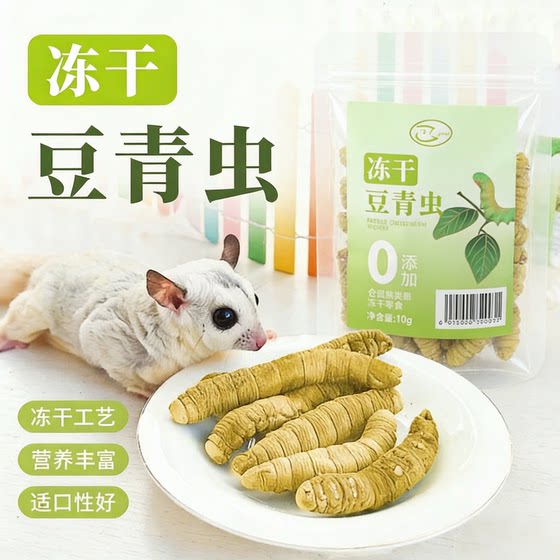 
Sugar glider snacks freeze-dried bean caterpillar big caterpillar hamster golden bear flower rat food food fattening nutrition