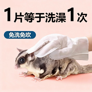 宠物免洗手套蜜袋鼯仓鼠金丝熊兔子洗澡清洁用品干洗除臭擦身体