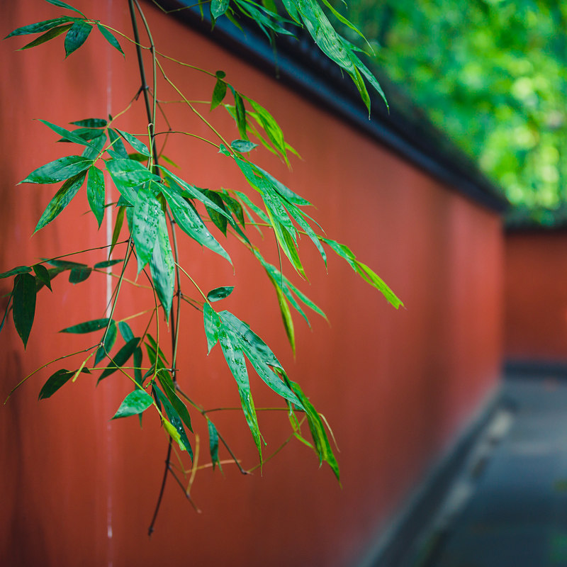 含机票|成都川剧都江堰熊猫基地金沙遗址门票4天3晚自由行亲子游