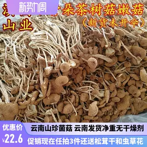 茶樹菇- Top 1000件茶樹菇- 2024年3月更新- Taobao