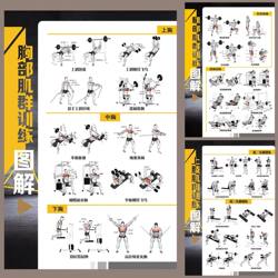Human Body Fitness Exercise Barbell Dumbbell Upper Limbs Legs Chest Shoulder Back Whole Body Muscle and Skeletal Training Wall Chart Poster