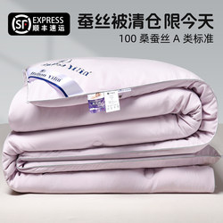 Silk Quilt 100% Mulberry Silk Genuine Summer Cooling Air-Conditioning Quilt Thickened Winter Quilt Core Single Student Dormitory Spring and Autumn Quilt