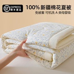 Class a Summer Quilt Made of Xinjiang Cotton, All-Cotton Summer Cooling Quilt, Machine Washable Pure Cotton Air-Conditioning Quilt, Thin Summer Quilt, Air-Conditioning Quilt