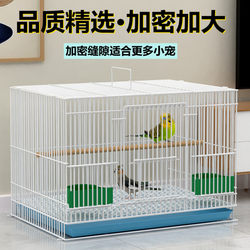 Bird Cage, Pigeon Cage, Metal Bird Cage, Parrot Cage, Bird Cage for Myna, Cockatiel, Budgie, Free Shipping