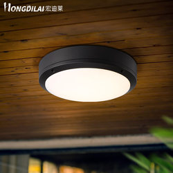 Hongdilai Outdoor Ceiling Light Waterproof for Entrance, Corridor, Outdoor Moisture-Proof, Insect-Proof, Foyer, Terrace, Balcony with Sensor