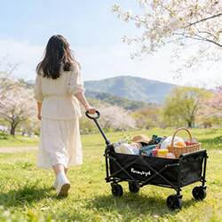 Outdoor Portable Foldable Camping Cart, Picnic and Baby Stroller Cd-0523 (XL)
