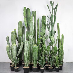 Simulated Cactus Landscaping, Fake Green Plants, Window Decoration, Tropical Dragon Tree, Cactus Column, Large Desert Plant Ornaments