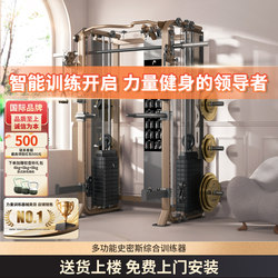 Head Hyde Gantry Bench Press Squat Rack Multi-Functional Machine Fly Bird Smith Comprehensive Training Gym Equipment