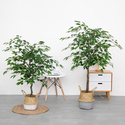 Simulated Banyan Tree Plant Potted Large Artificial Tree Indoor Landscape Floor-Standing Green Plant Ornament Window Office Decoration