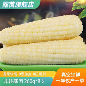 [Shop owner's recommendation] Luyin corn glutinous corn fresh sticky corn non-Northeast sweet glutinous corn corn cob vacuum pack