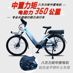 Jetshida Octagon Torque Mid-mounted Electric Power Bike Travel Pedal Bike E-BIKEbicycle