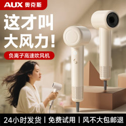 Oaks high-speed negative ion hair dryer
