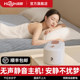 Constant temperature water heating blanket for mother and baby, double water circulation heating electric mattress 2025 new smart hot-selling water mattress