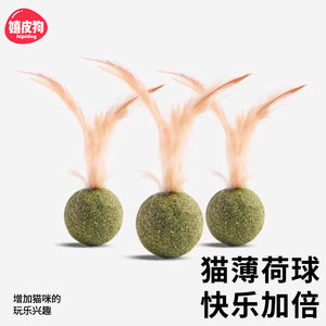 
Catnip Ball Feather Cat Stick Cat Stick Cat Toy Self-Enjoy Body Relieve Kitten Kitten Teeth Stick Cat Supplies