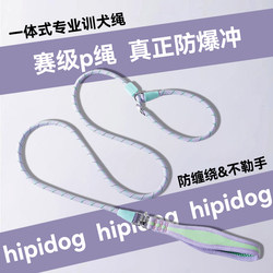 Dog Leash Anti-Pull Rope, P-Chain Dog Walking Leash, Dog Chain for Small, Medium, and Large Dogs, Anti-Tangle Training Leash