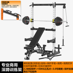 Home Commercial Gym Professional Barbell Rack Weightlifting Squat Rack Auxiliary Bench Press Rack Multi-Functional Fitness Equipment