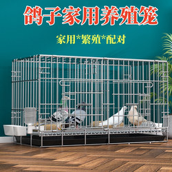 Pigeon Cage for Home Use, Special Cage for Breeding Pigeons, Breeding Cage, Pairing Large Pigeon House, Pigeon Cage, Pigeon Nest