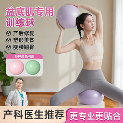 Yoga Ball for Adults, Pelvic Floor Muscle Training Yoga Ball, Small Ball for Postpartum Core Repair, Pilates Small Ball, Yu Jia