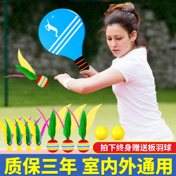 Badminton Racket Set, Shuttlecock, Children's High-Elasticity Three-Feather Ball, Indoor Table Tennis, Small Badminton, Professional Badminton